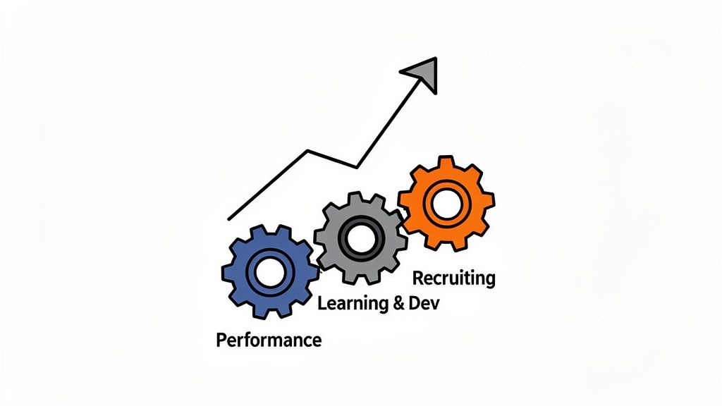 Three interlocking gears labeled Performance, Learning & Dev, and Recruiting drive an upward trend graph.