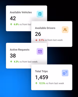 Reporting & Insights