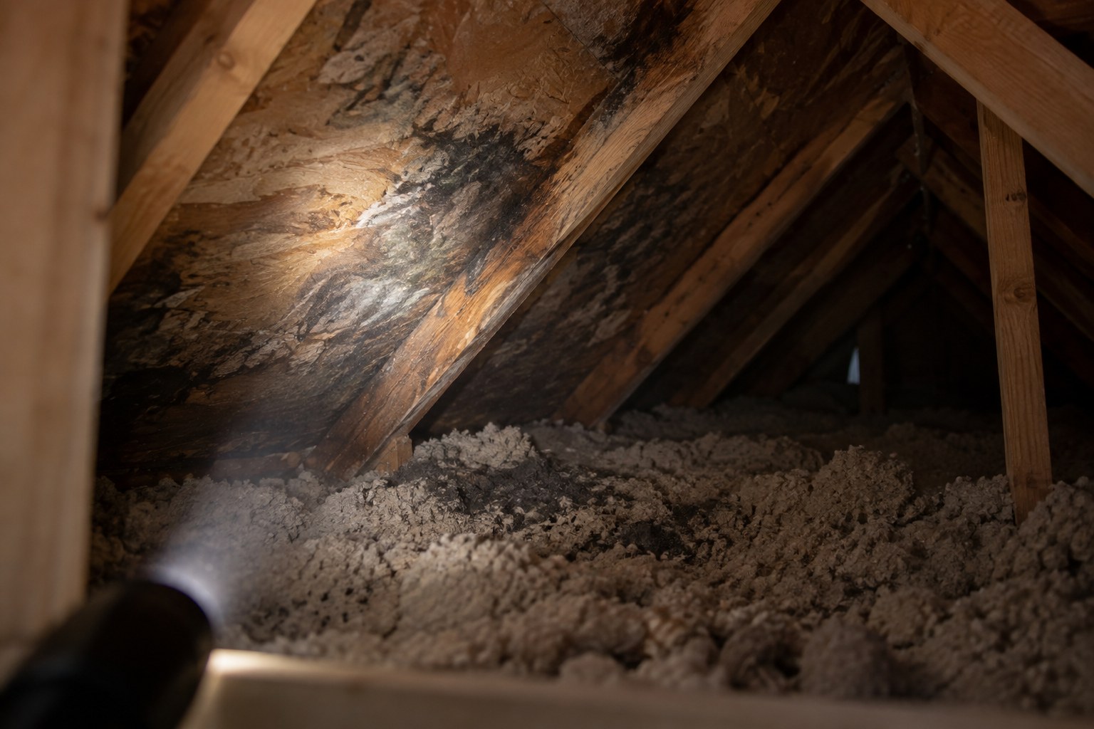 Entretoit résidentiel éclairé à la lampe de poche, marbrures sombres d'humidité sur la sous-face du support de couverture et isolant de cellulose soufflée tassé au sol.