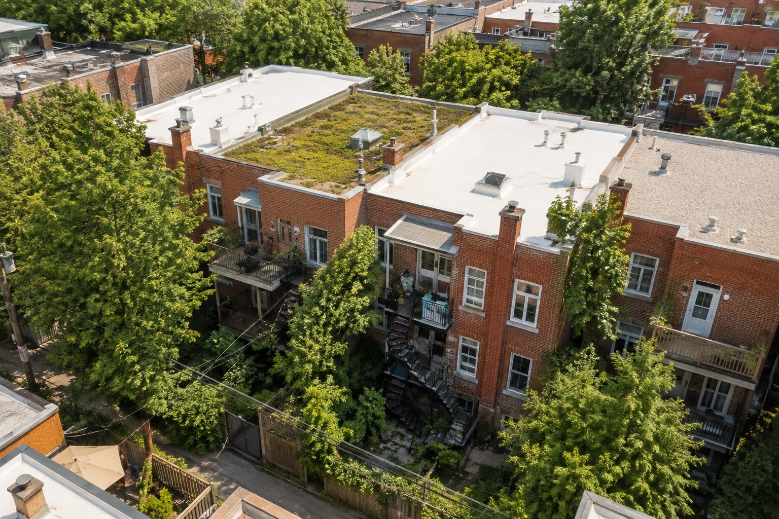 Vue de drone de toits plats de plex en brique rouge sur le Plateau-Mont-Royal, recouverts de membrane blanche, de gravier pâle et d'un toit végétalisé.