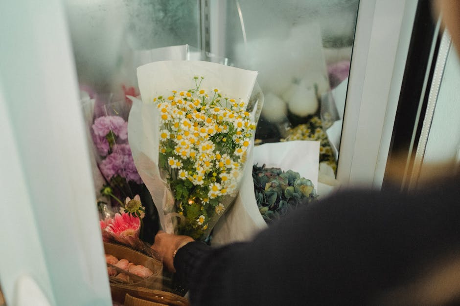 https://images.unsplash.com/photo-1519337265831-281ec6cc8514
