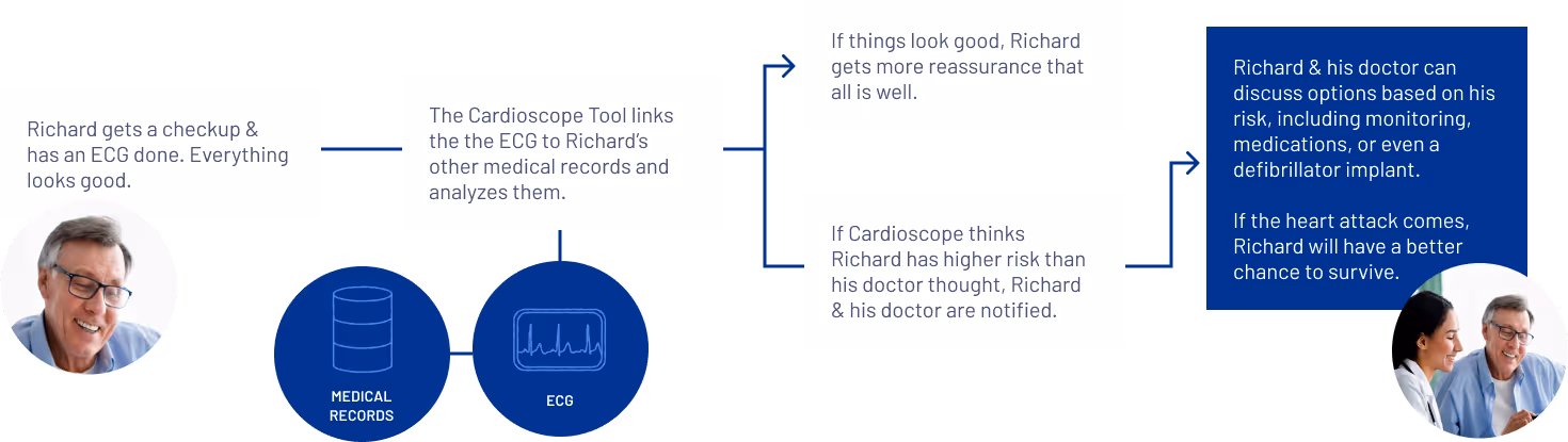 Infographic representing the Workflow for the Heartspot Project