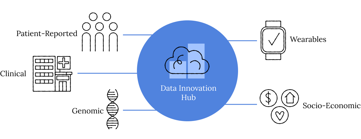 An infographic image that represents all the elements that connect to the Data innovation Hub