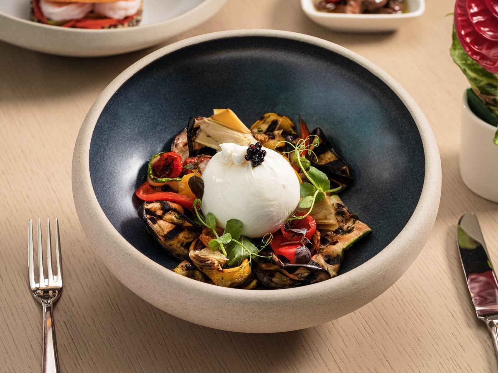 "Burrata with grilled vegetables in a bowl