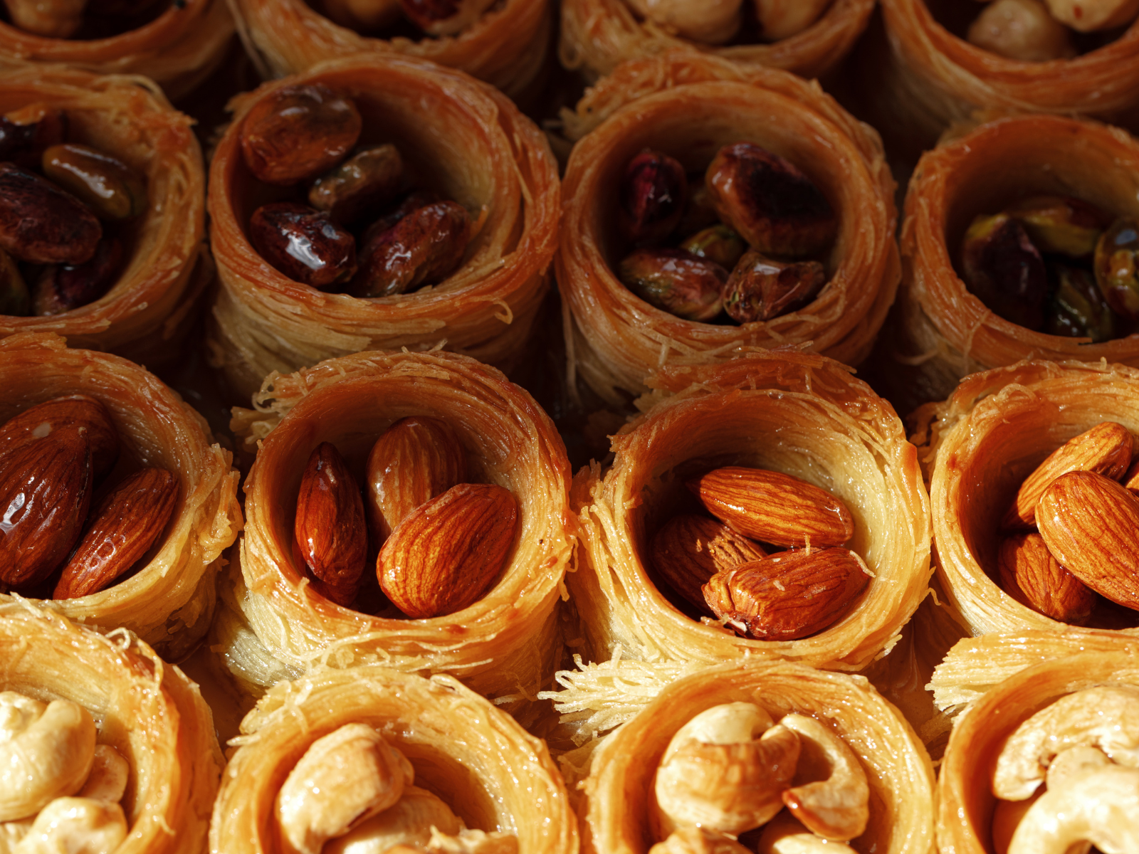 Pastries filled with nuts arranged in rows