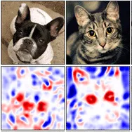 Feature maps of a cat and dog from a computer vision model.