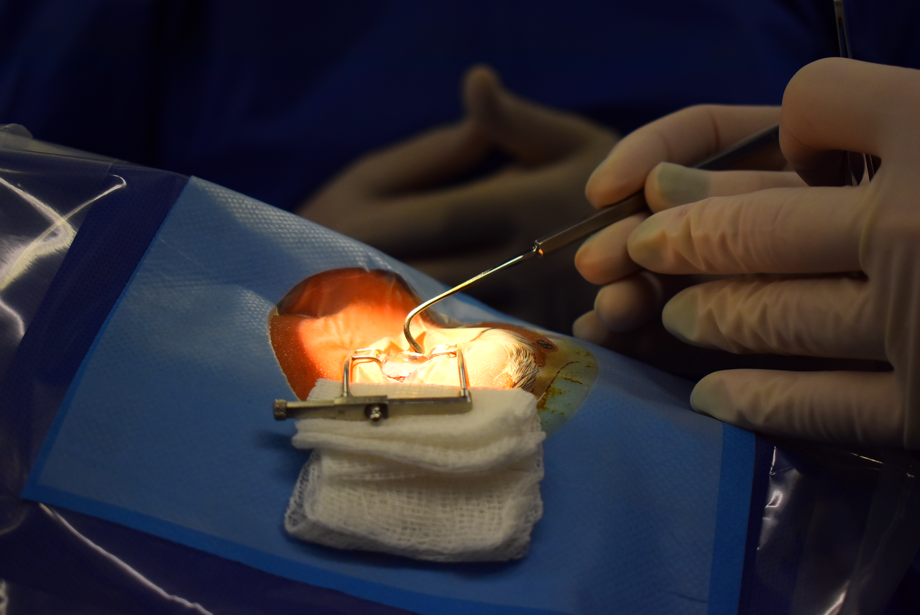 Young woman wearing glasses smiles