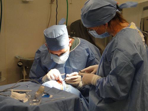 Young woman wearing glasses smiles