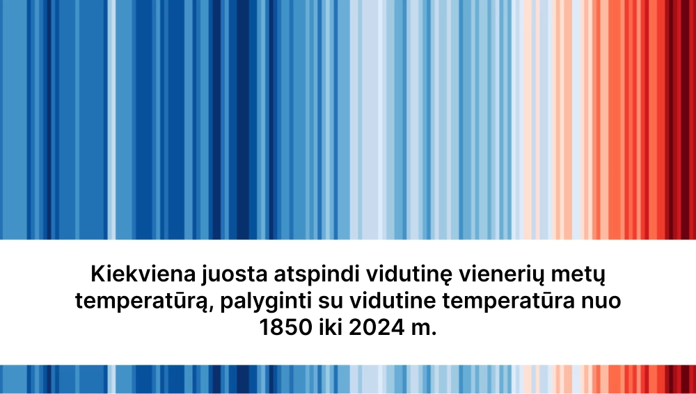 Paveikslėlis rodo vertikalių juostų seką, kuri vaizduoja temperatūrų pokyčius nuo 1850 m. Kiekviena juosta – tai konkrečių metų vidutinė temperatūra, palyginti su laikotarpiu nuo 1850 iki 2024 m.