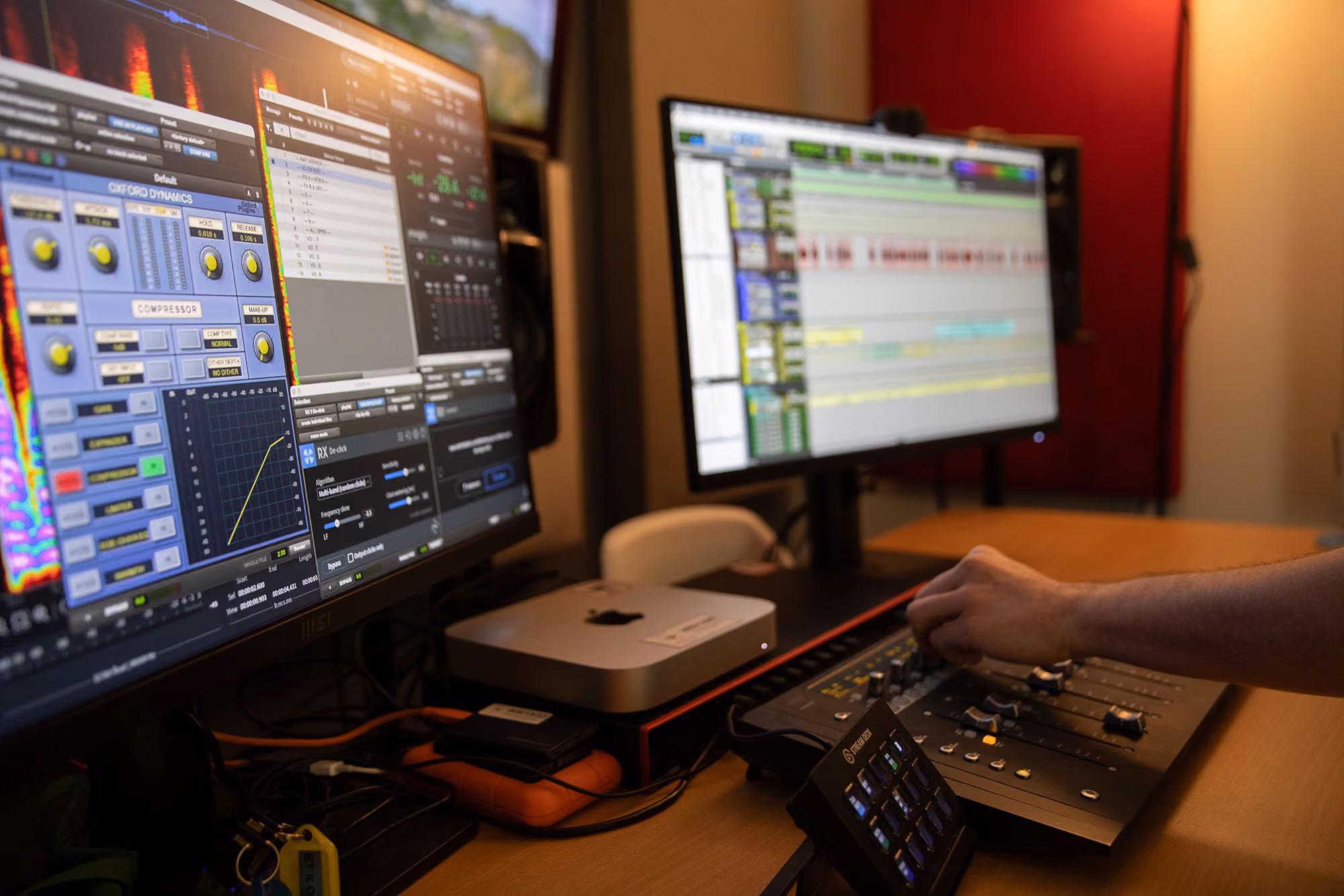 WildBear's office