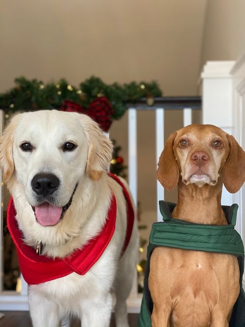 2 surfers in the water