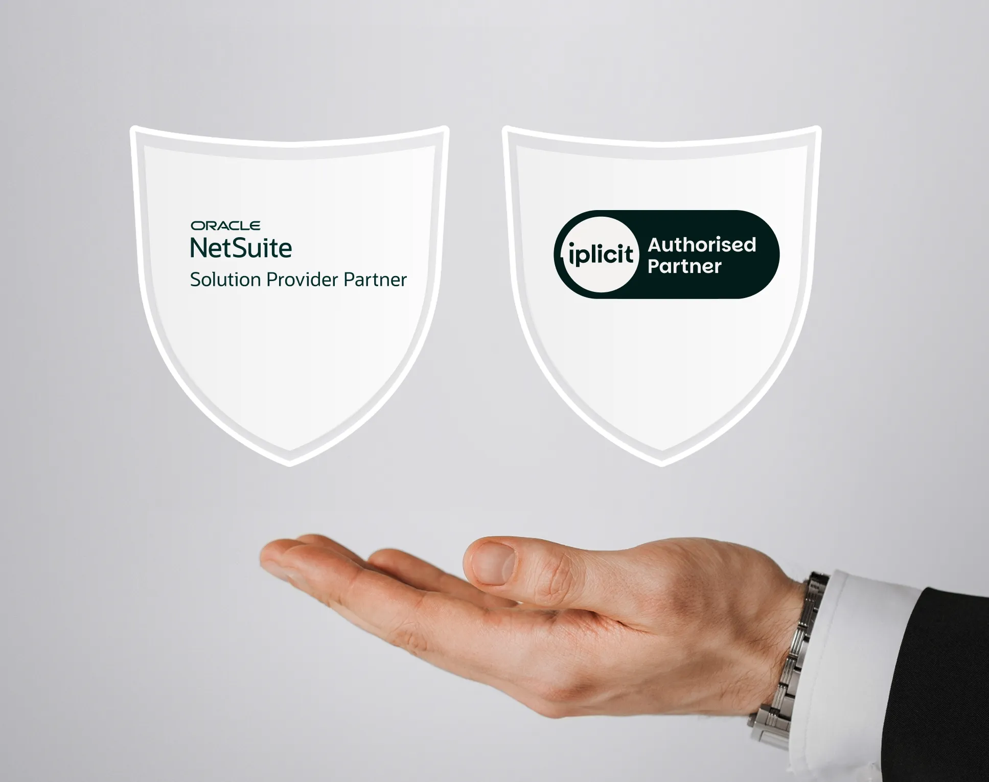 Cloud Doing Good charity ERP implementation partner for NetSuite and iplicit software