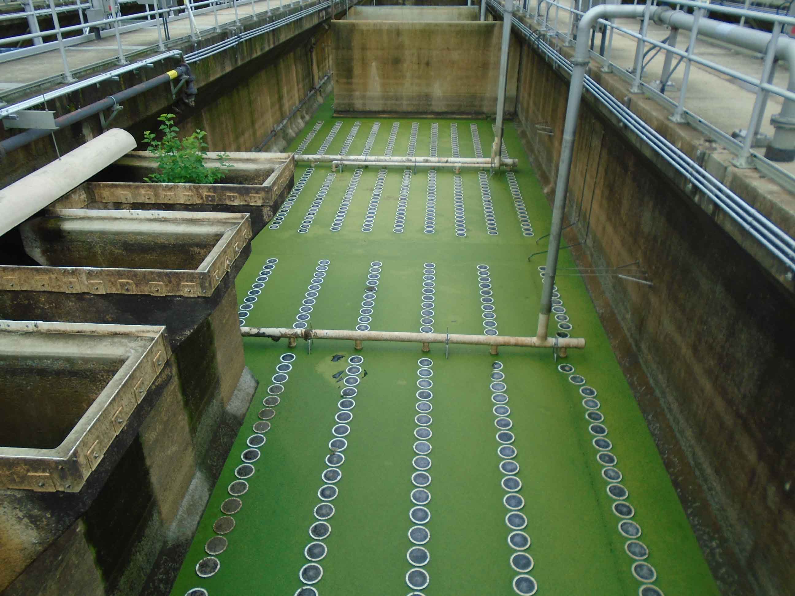 Fairfax wastewater treatment plant tanks