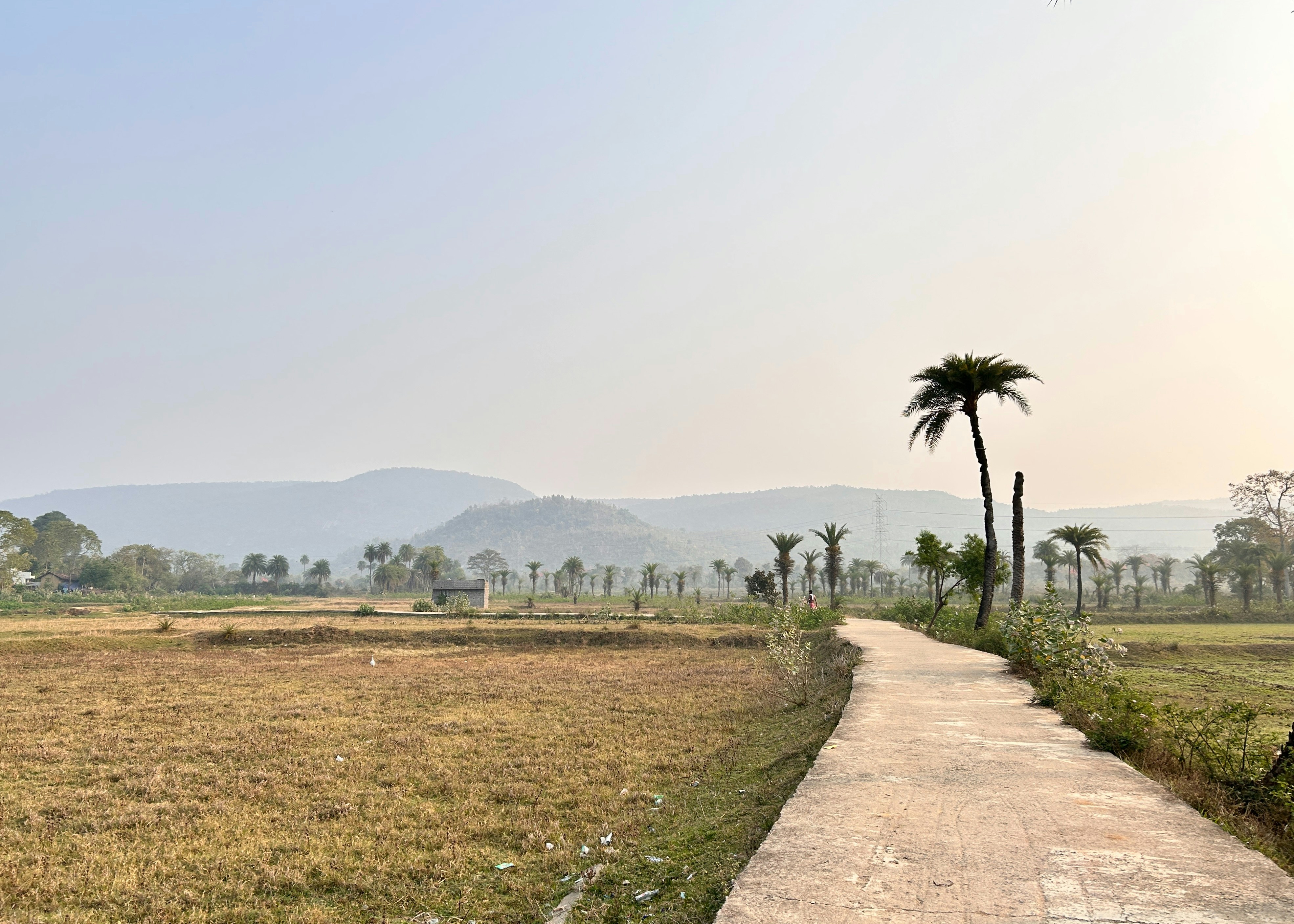 image of a diverse team in a meeting (for a edtech)