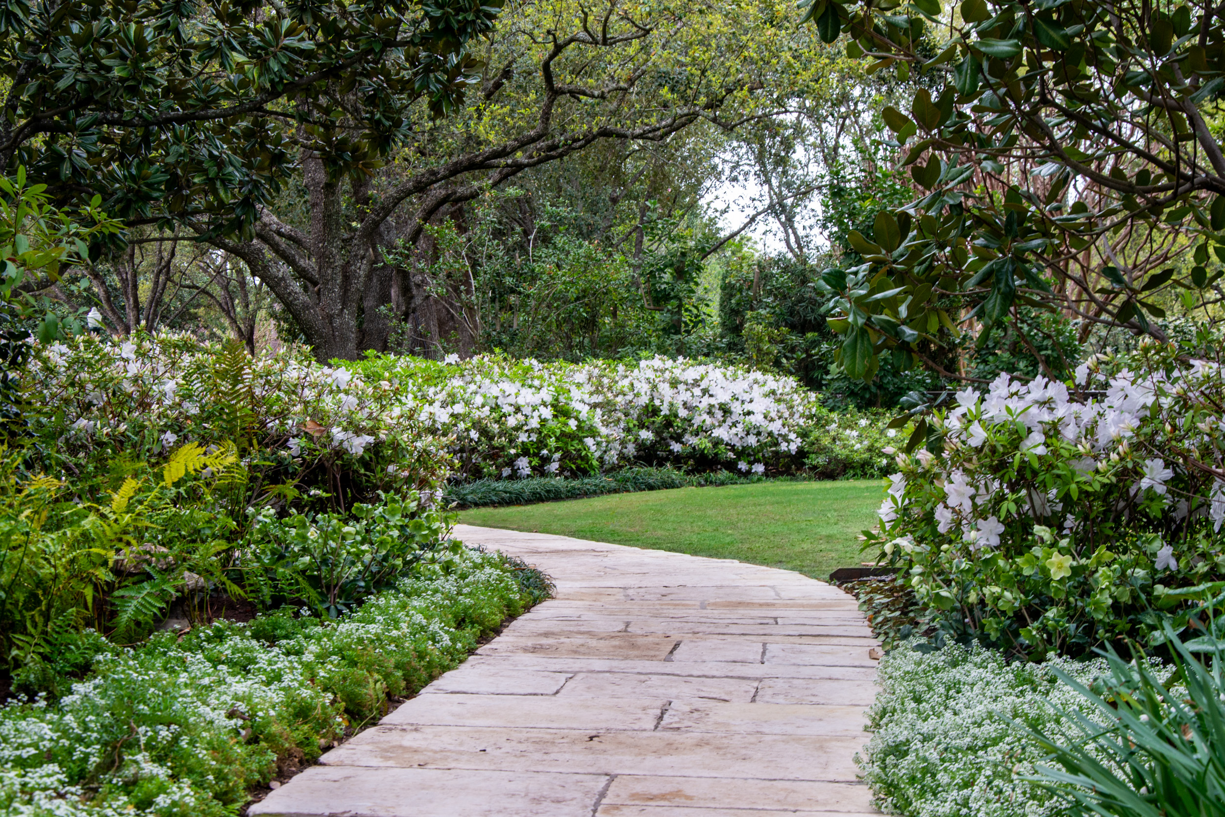 garden