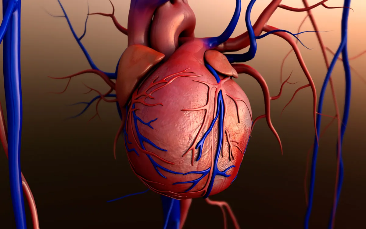 A graphic of Valvular Heart Disease