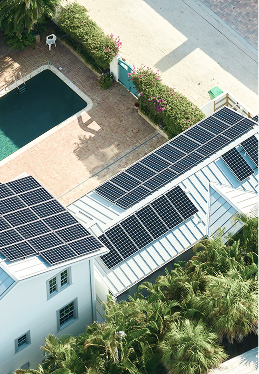 Rooftops with many solar panels, a pool, and palm trees.