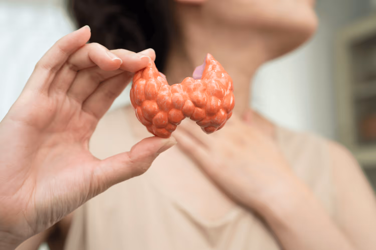 Thyroid Optimization for Energy and Metabolic Health