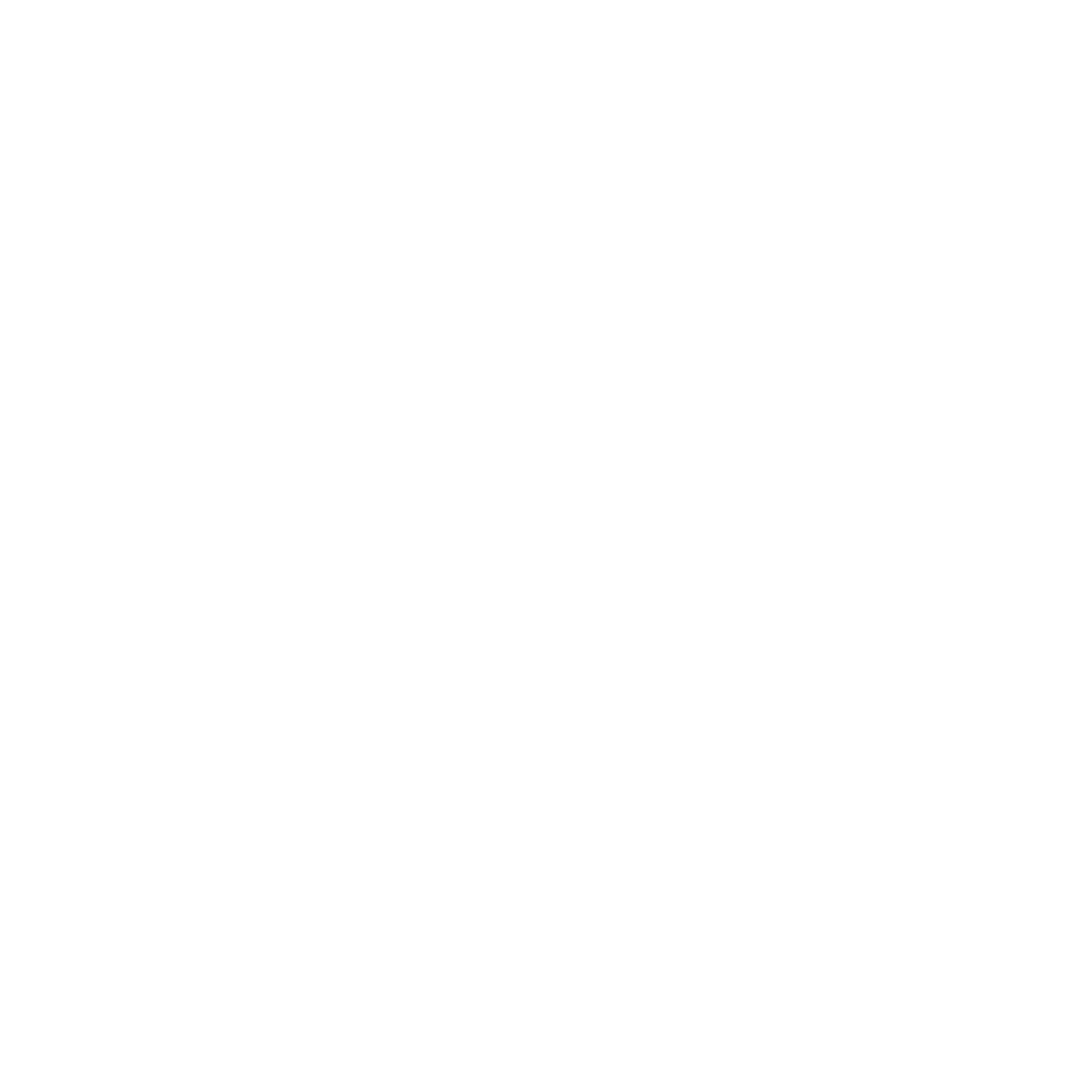 ZM Ventures Logo