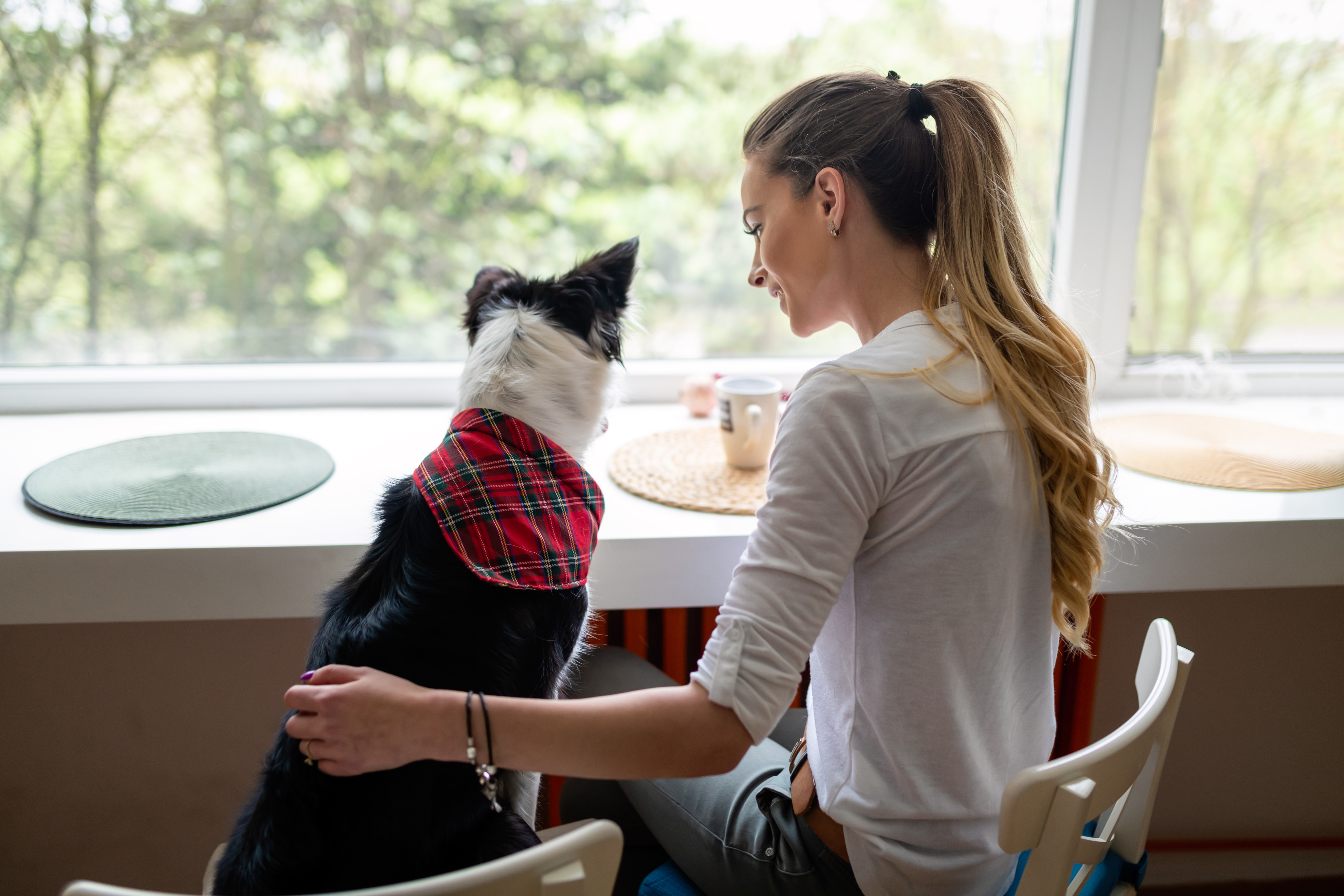 Newtown students thank therapy dogs