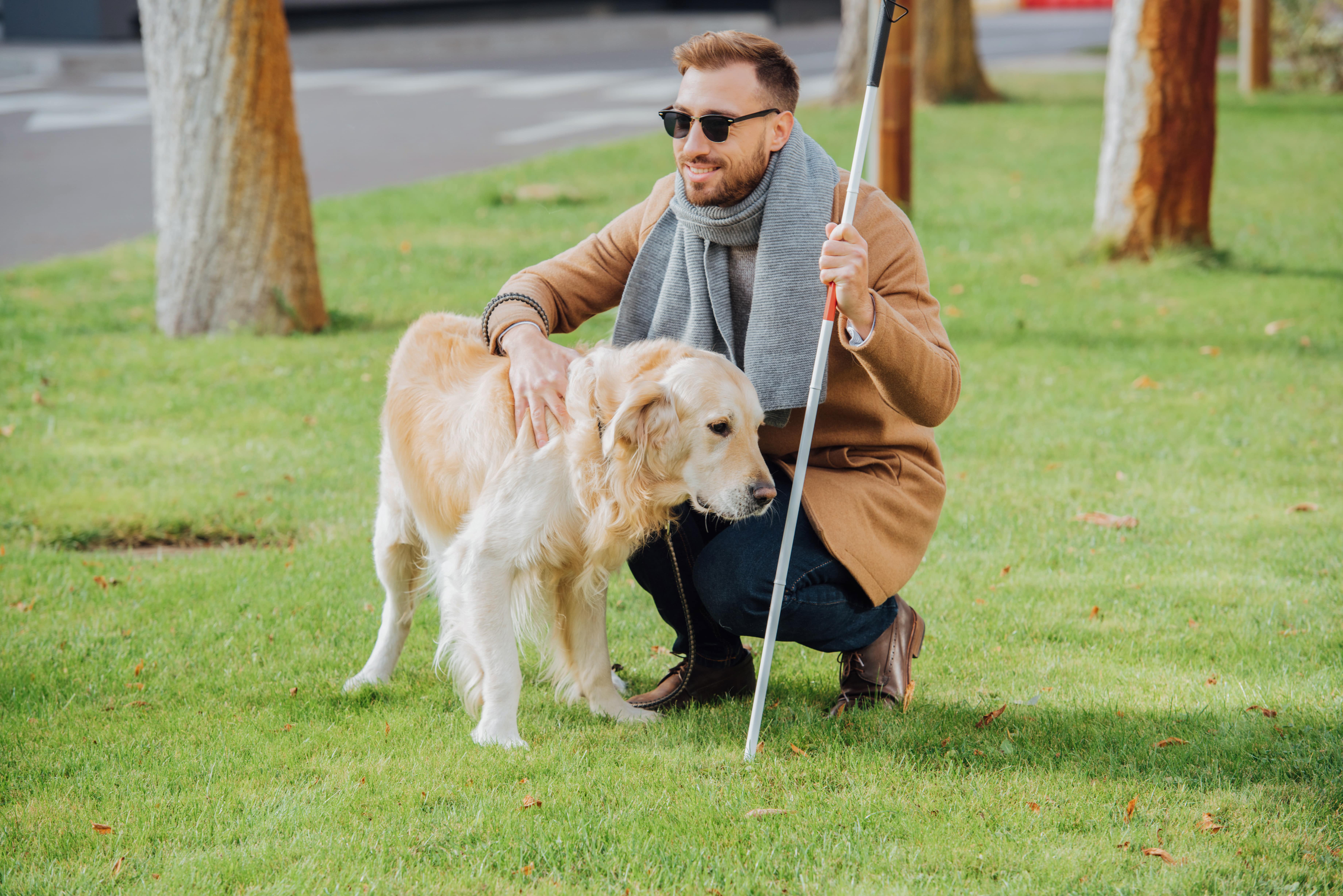 Don’t bother working/service dogs