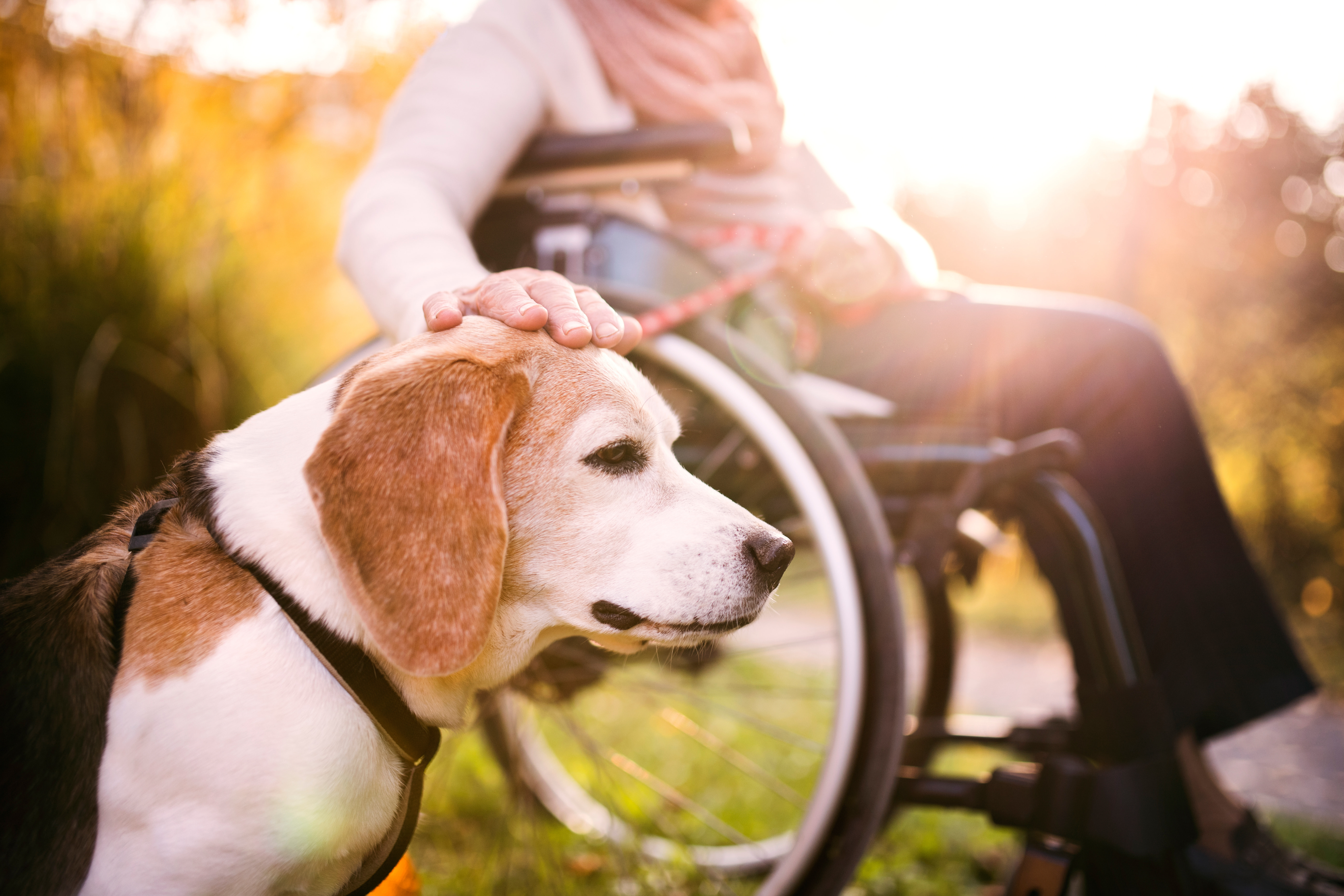 Aspiration — run agility in a wheelchair