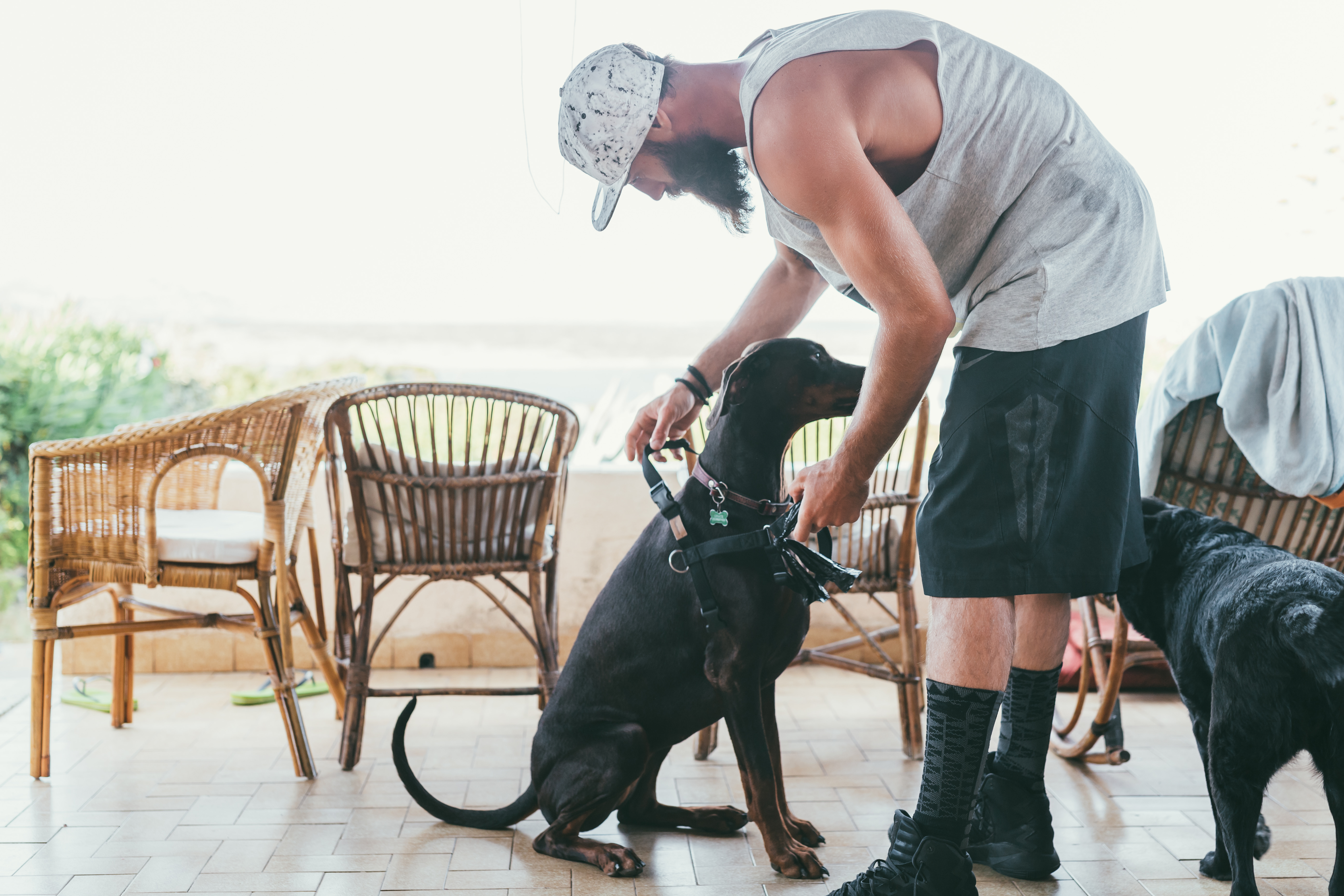 Columbia is home to service dog training program