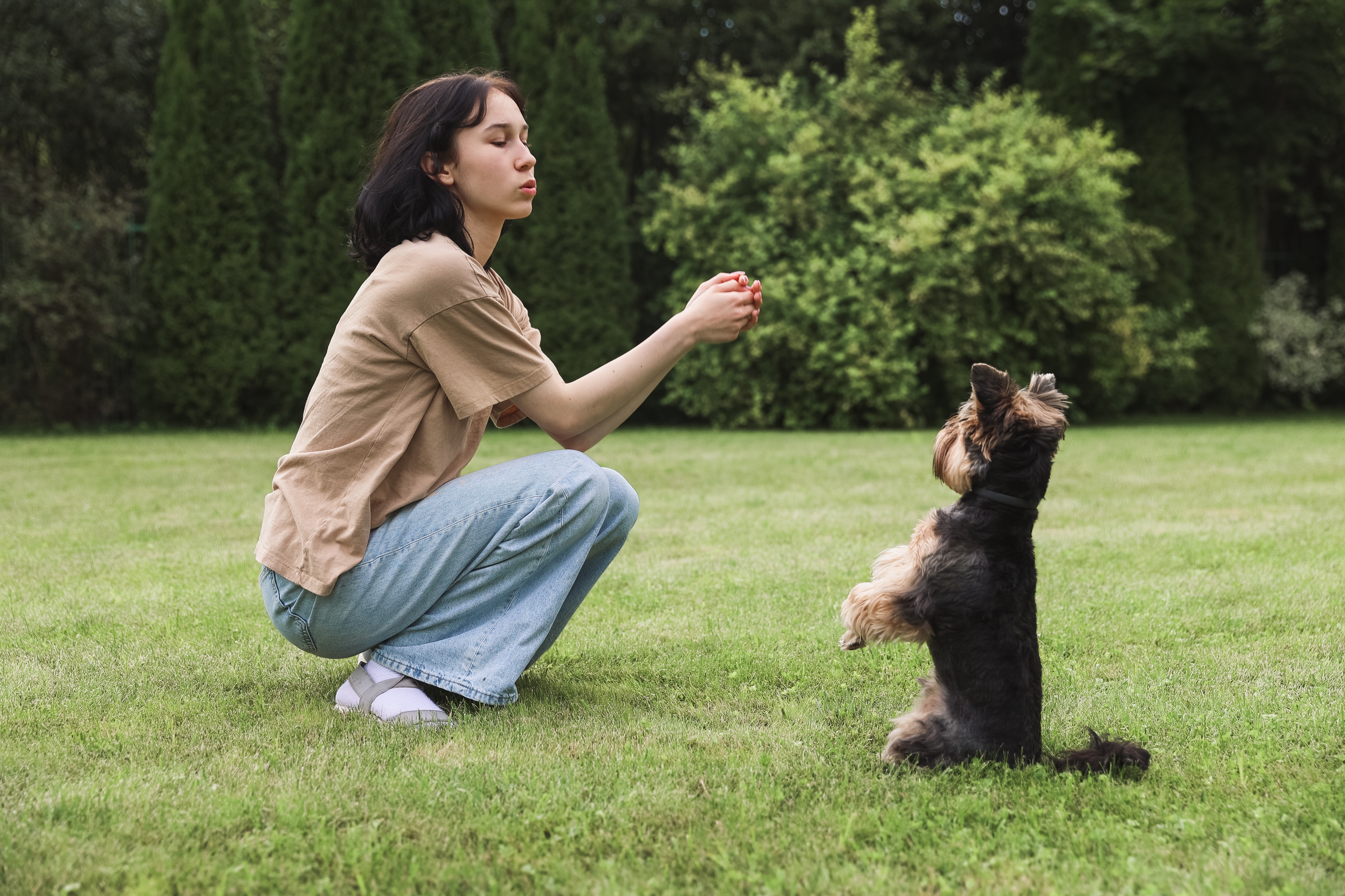 Consistency essential in puppy training