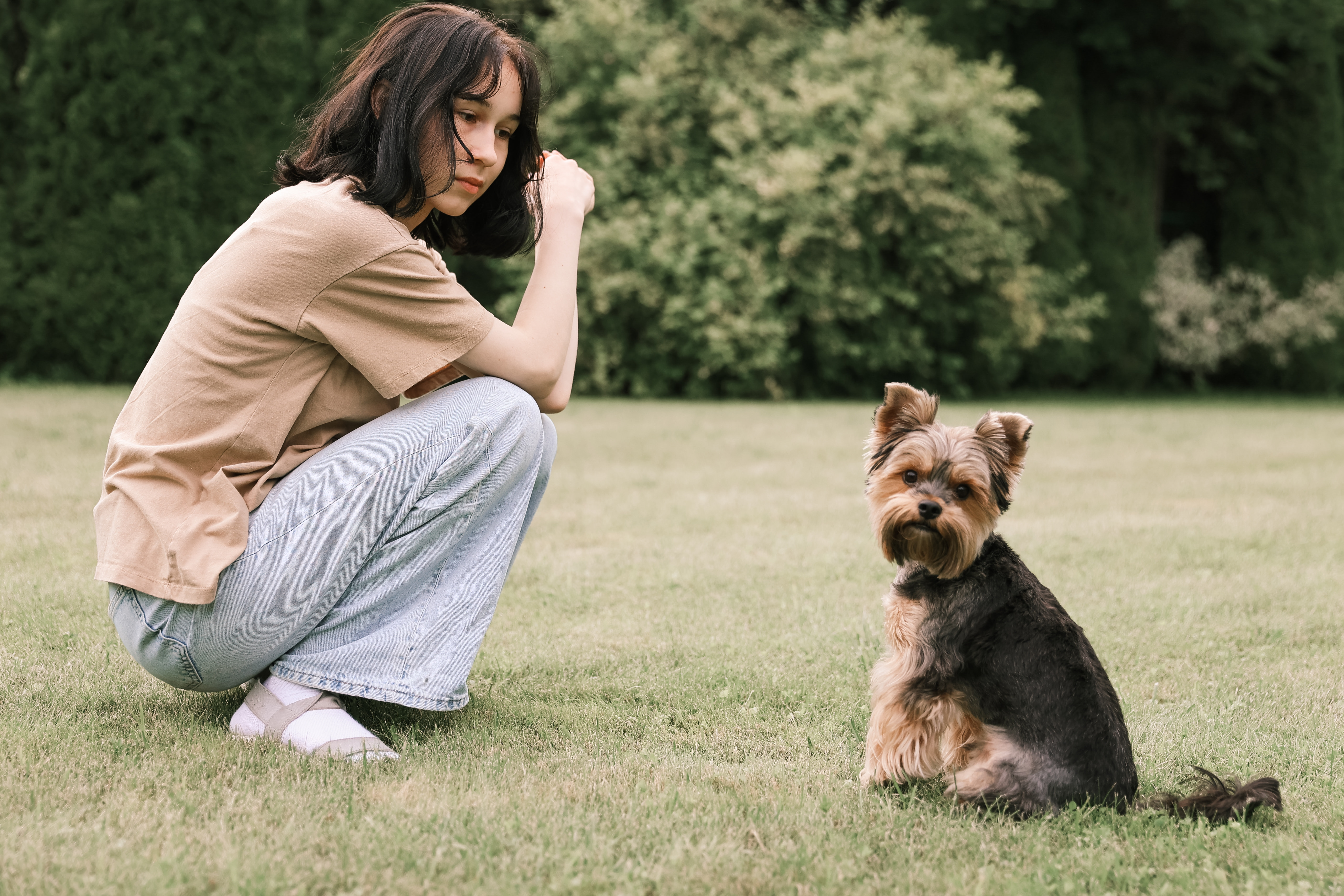 Why doesn’t’ my dog ‘come’ and ‘sit’ – your fault, probably.