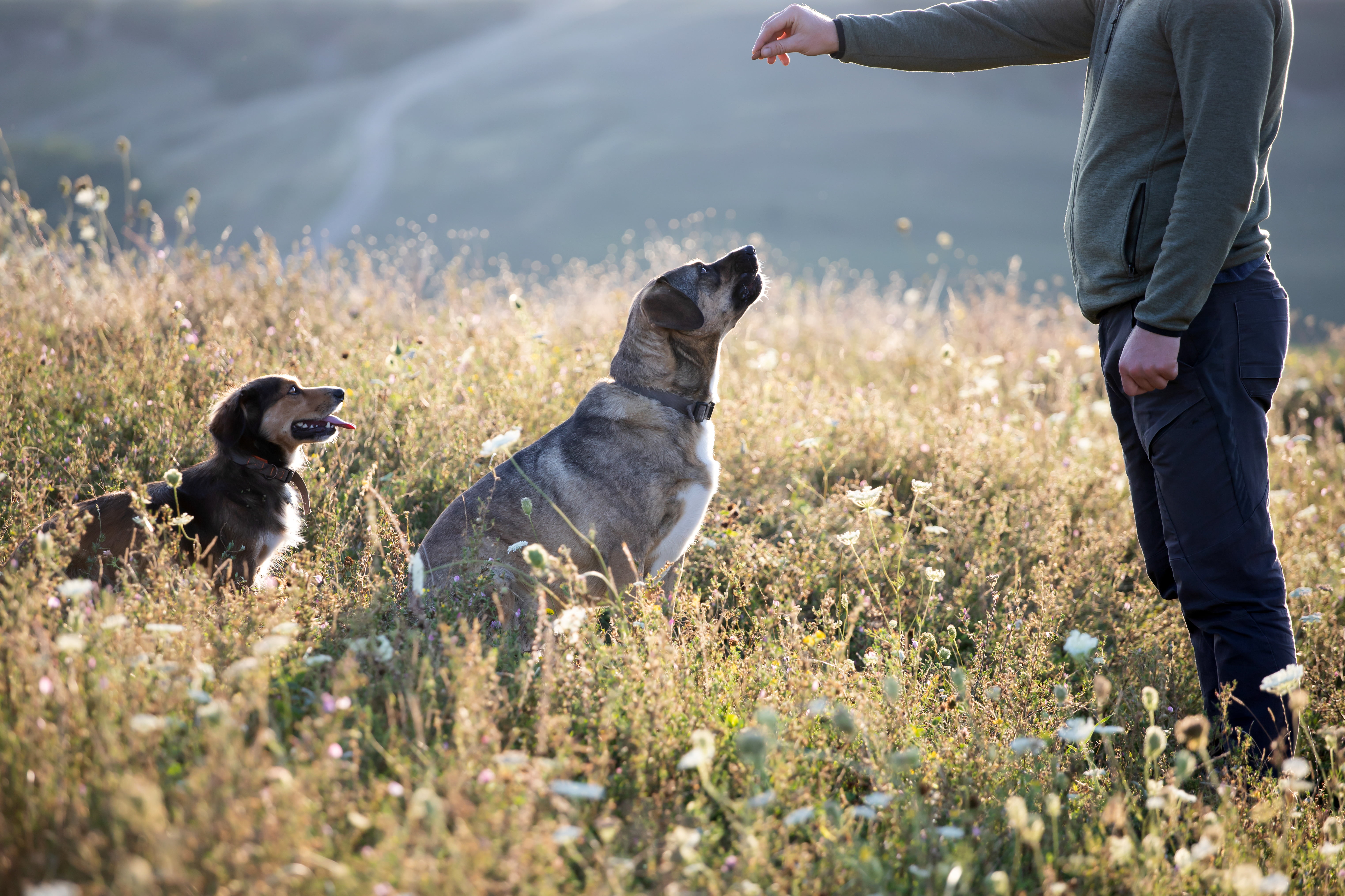 The case for ‘heeling’