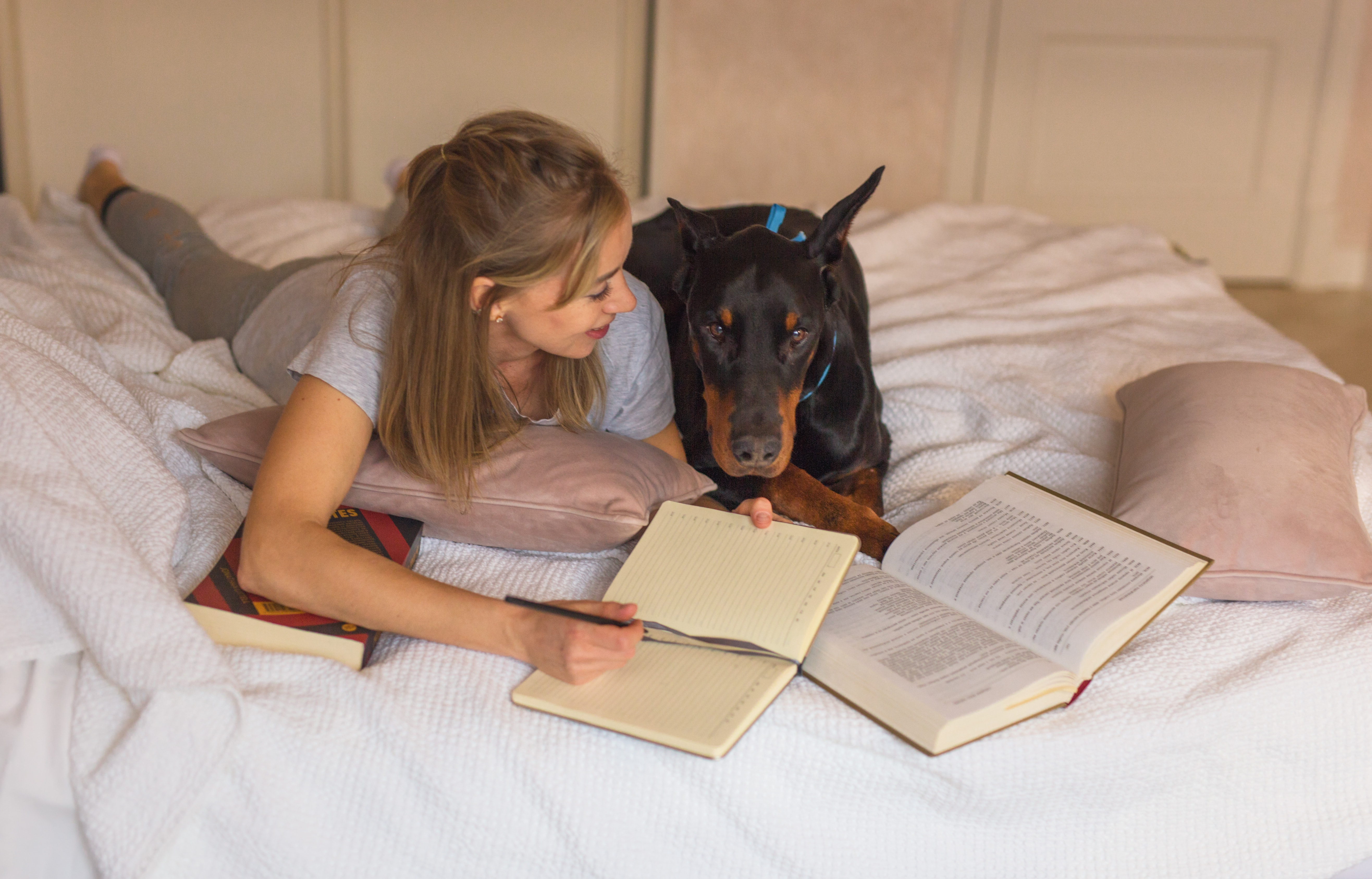 Reading to dogs builds reading confidence, skill