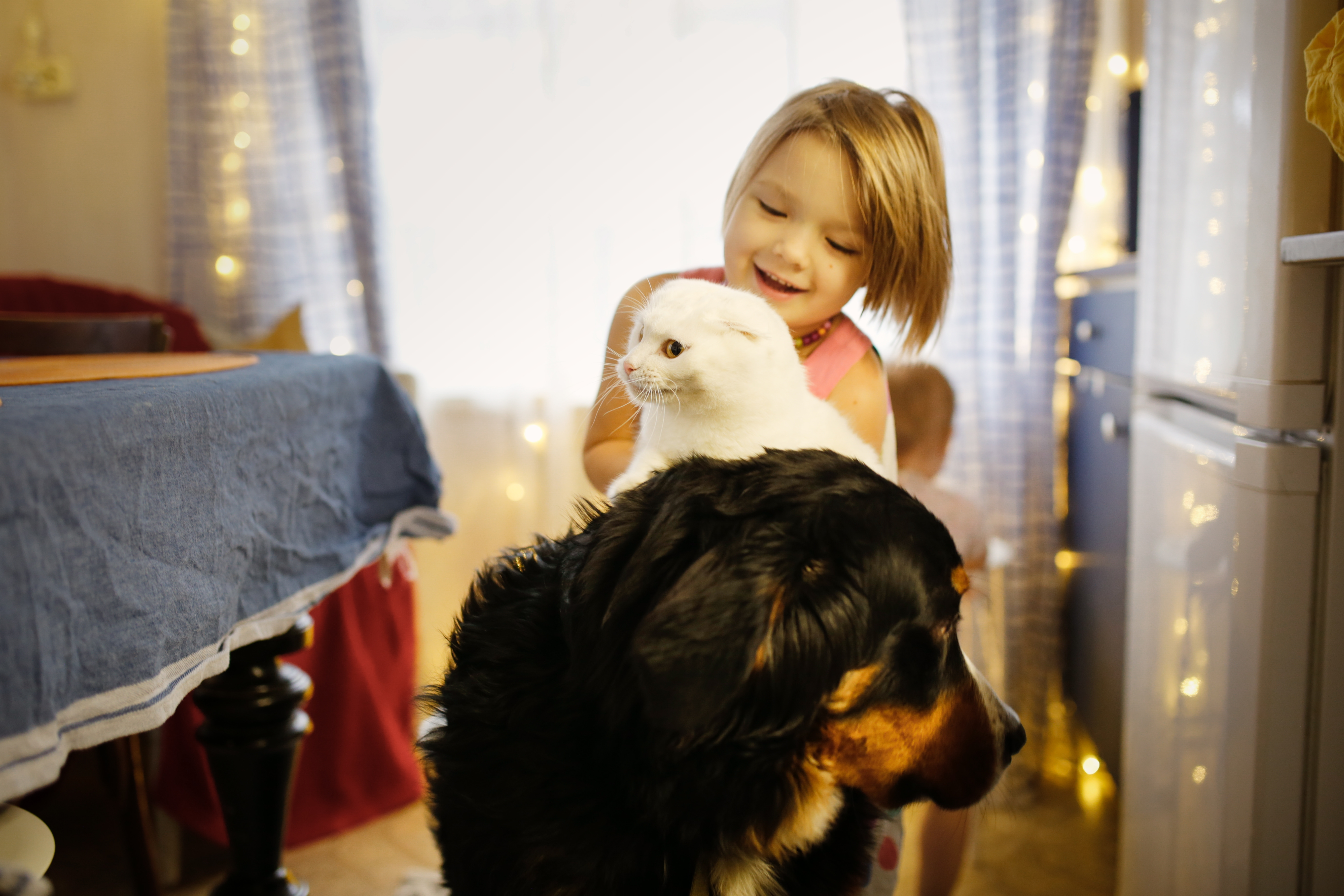 6-year-old in training with her new service dog