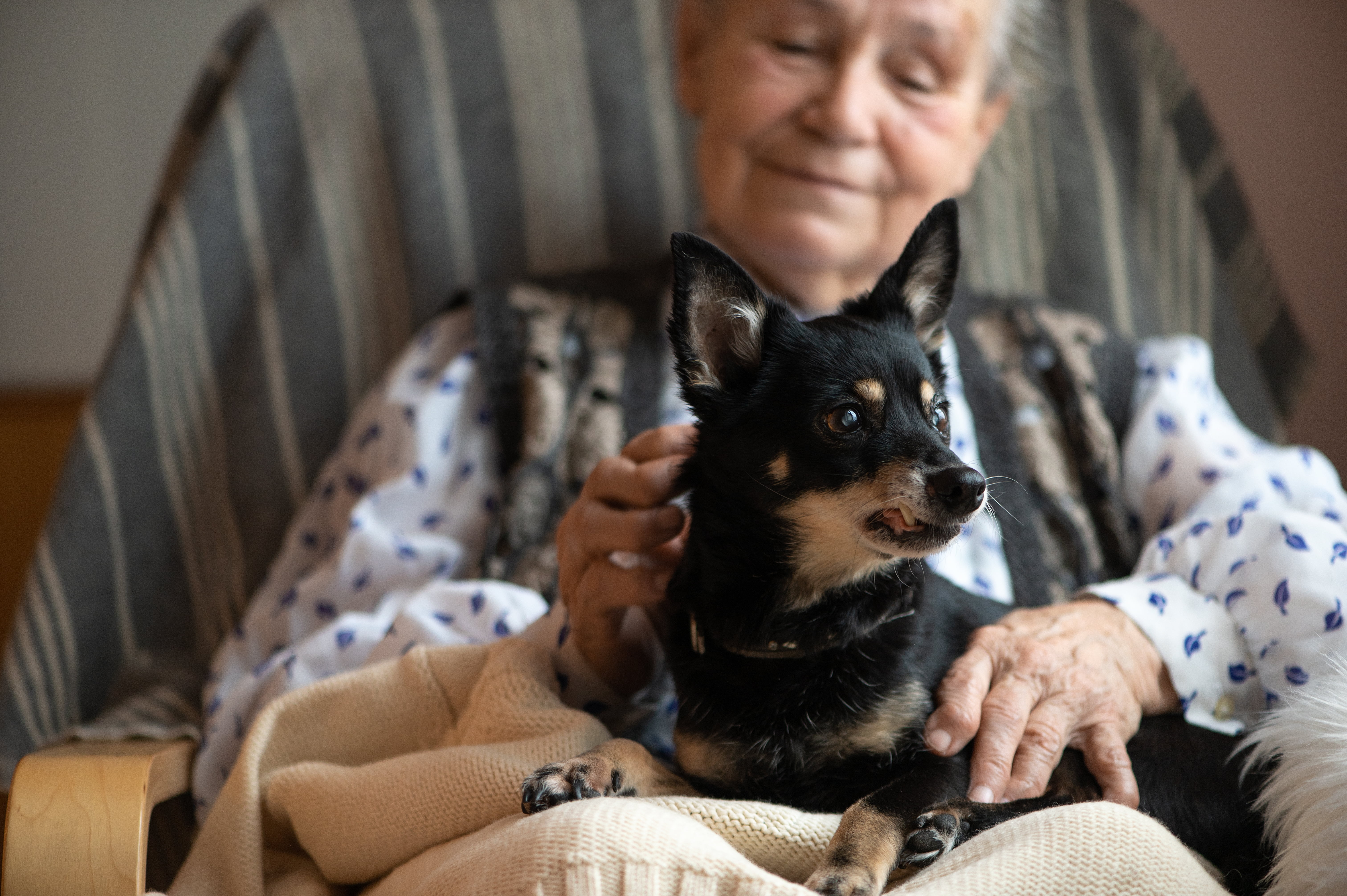 Two Golden Girls at work in South Carolina – See the impact
