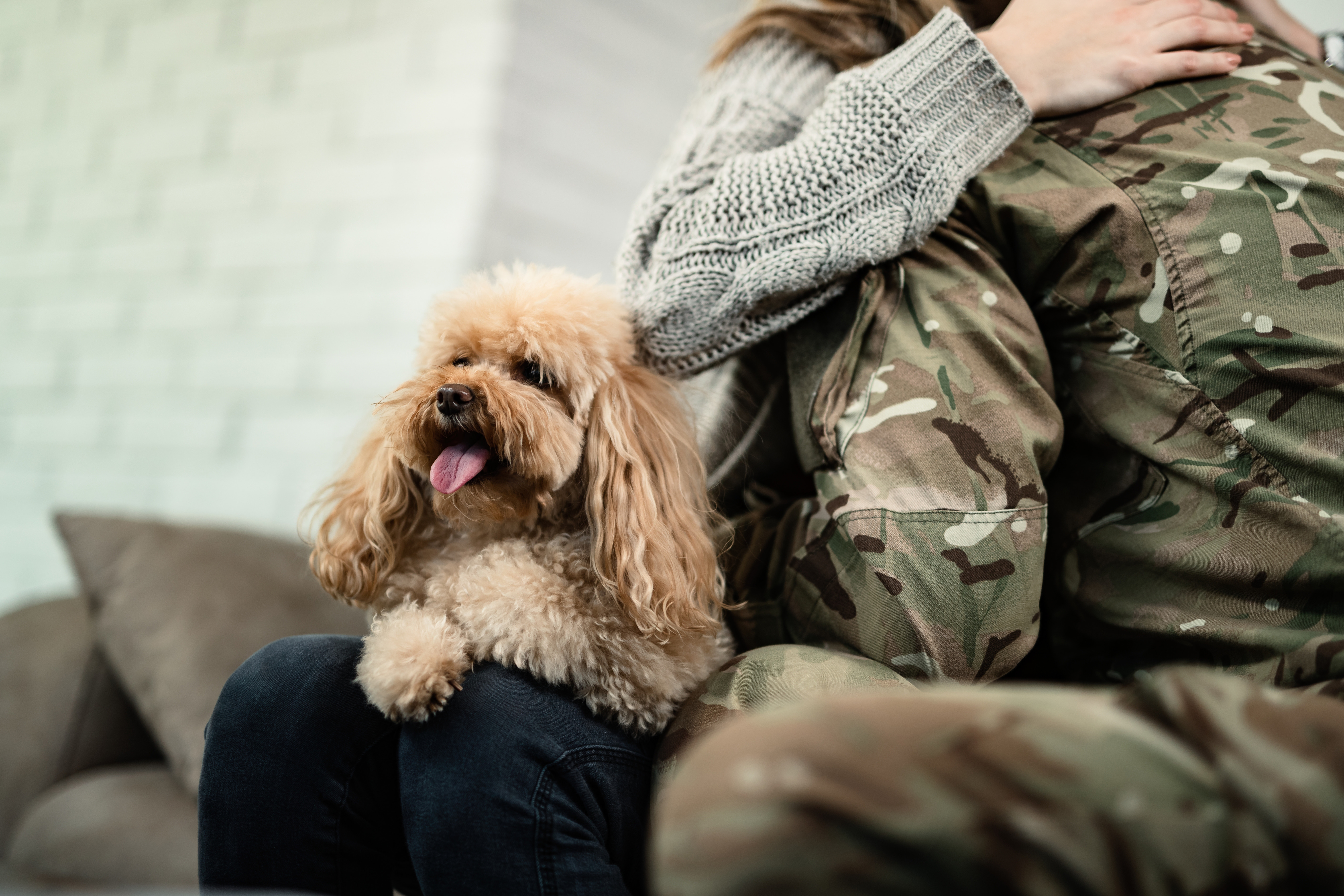 VA not ready to recognize med benefits from service dogs for PTSD