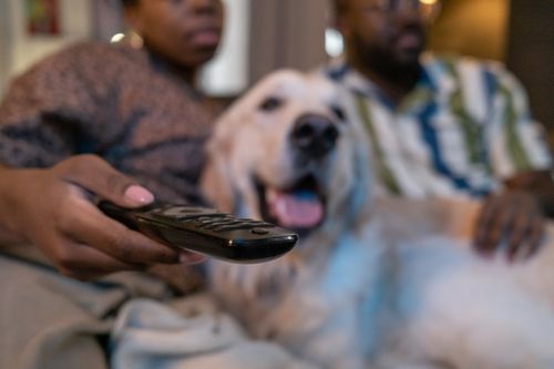Promotional video shows benefits of pet therapy