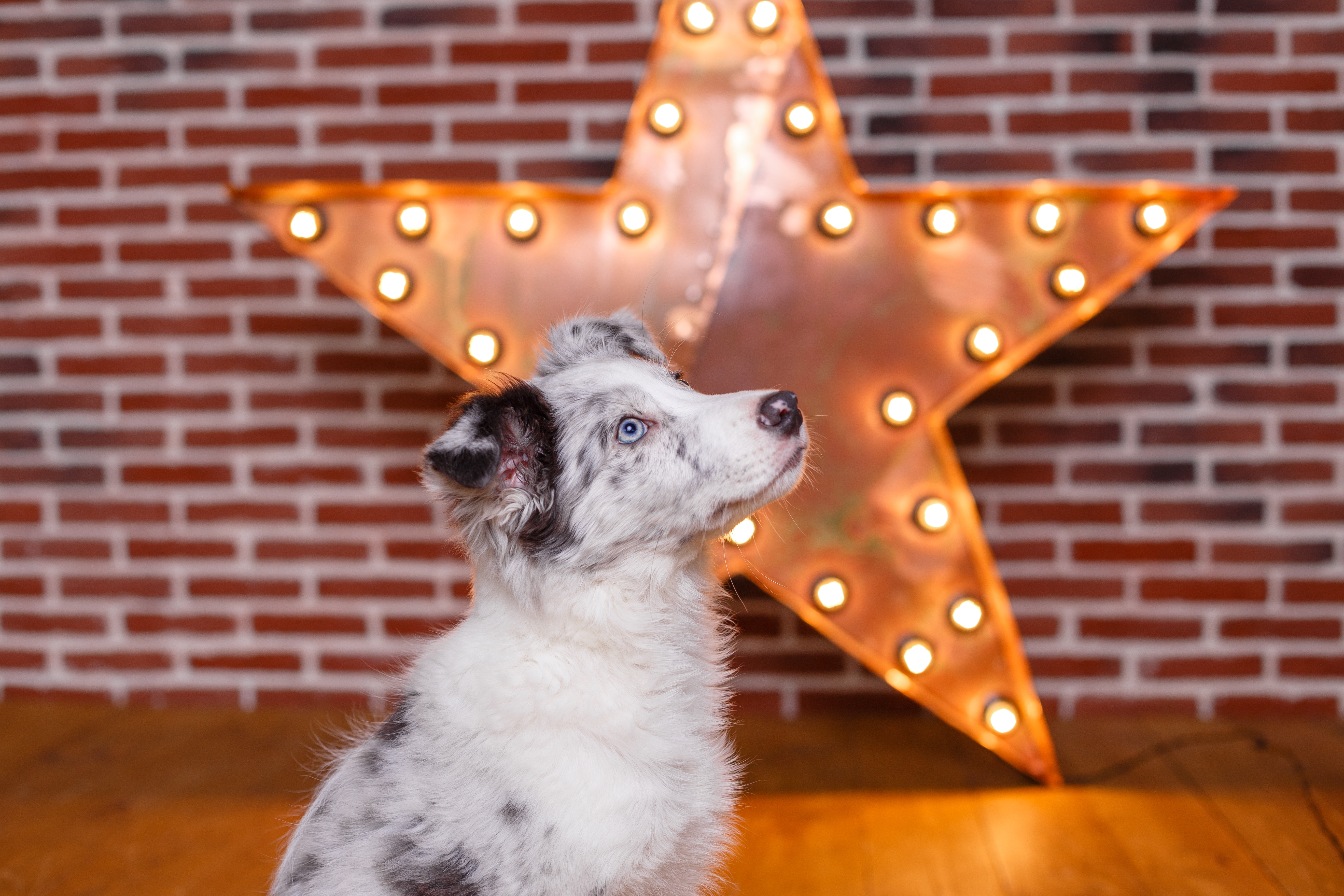 The stage is set for our free holiday show – have a look