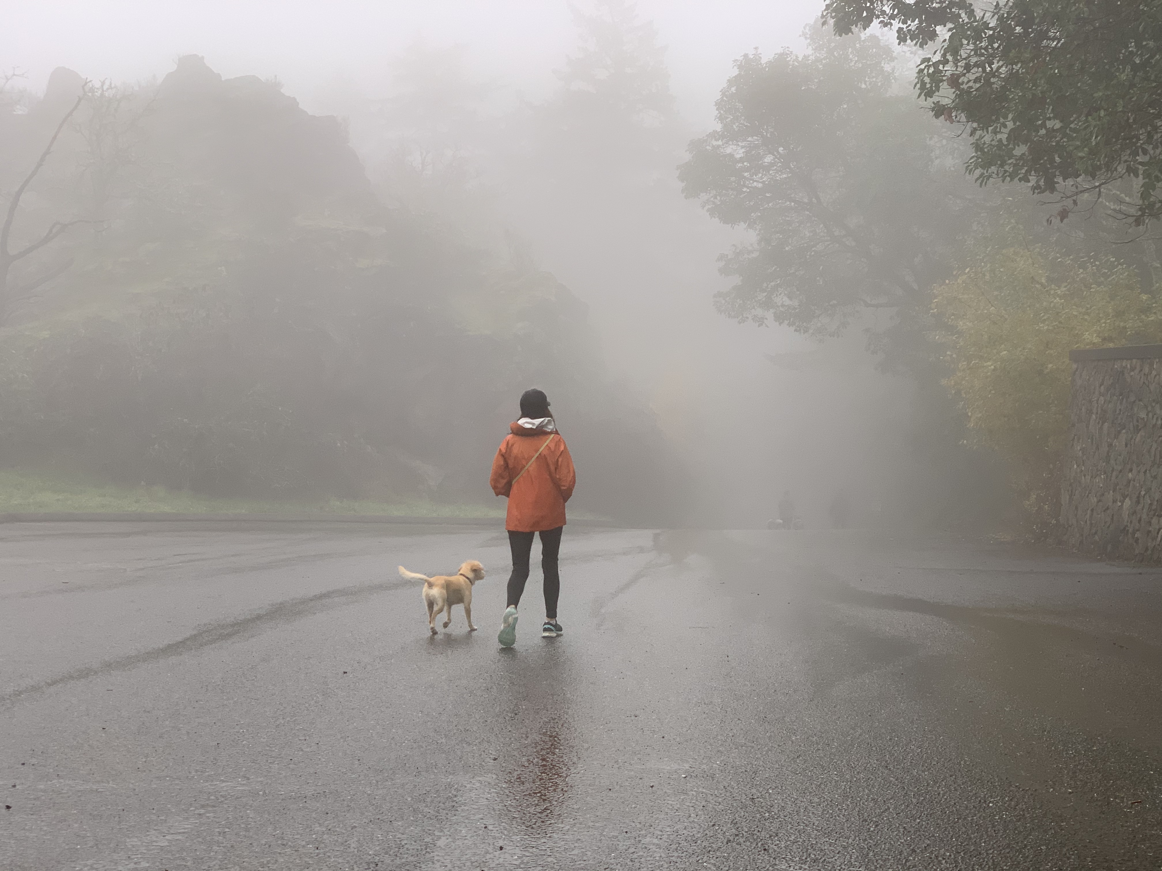 Could your therapy dog have nationwide duties?