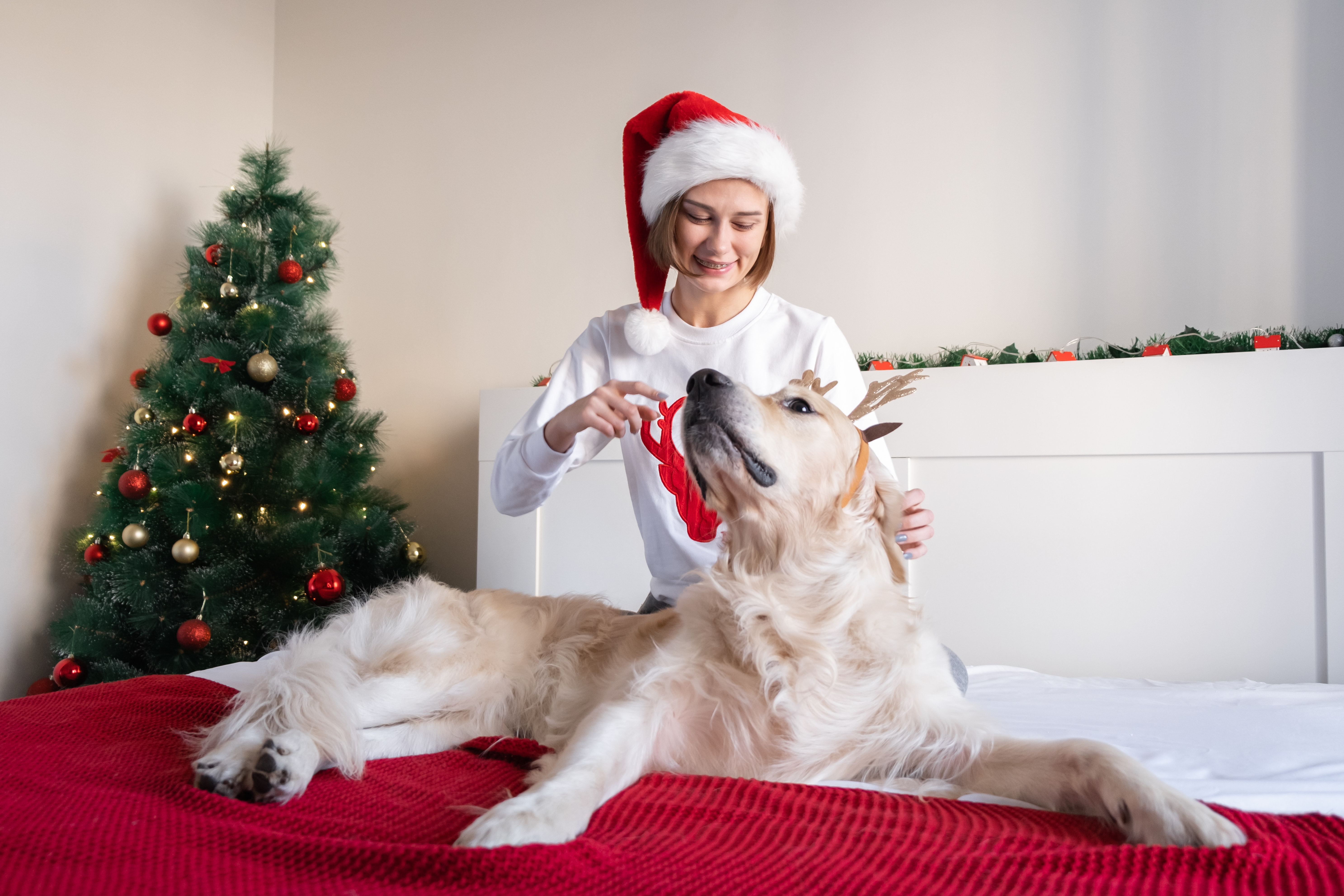 Missing dog found — Merry Christmas