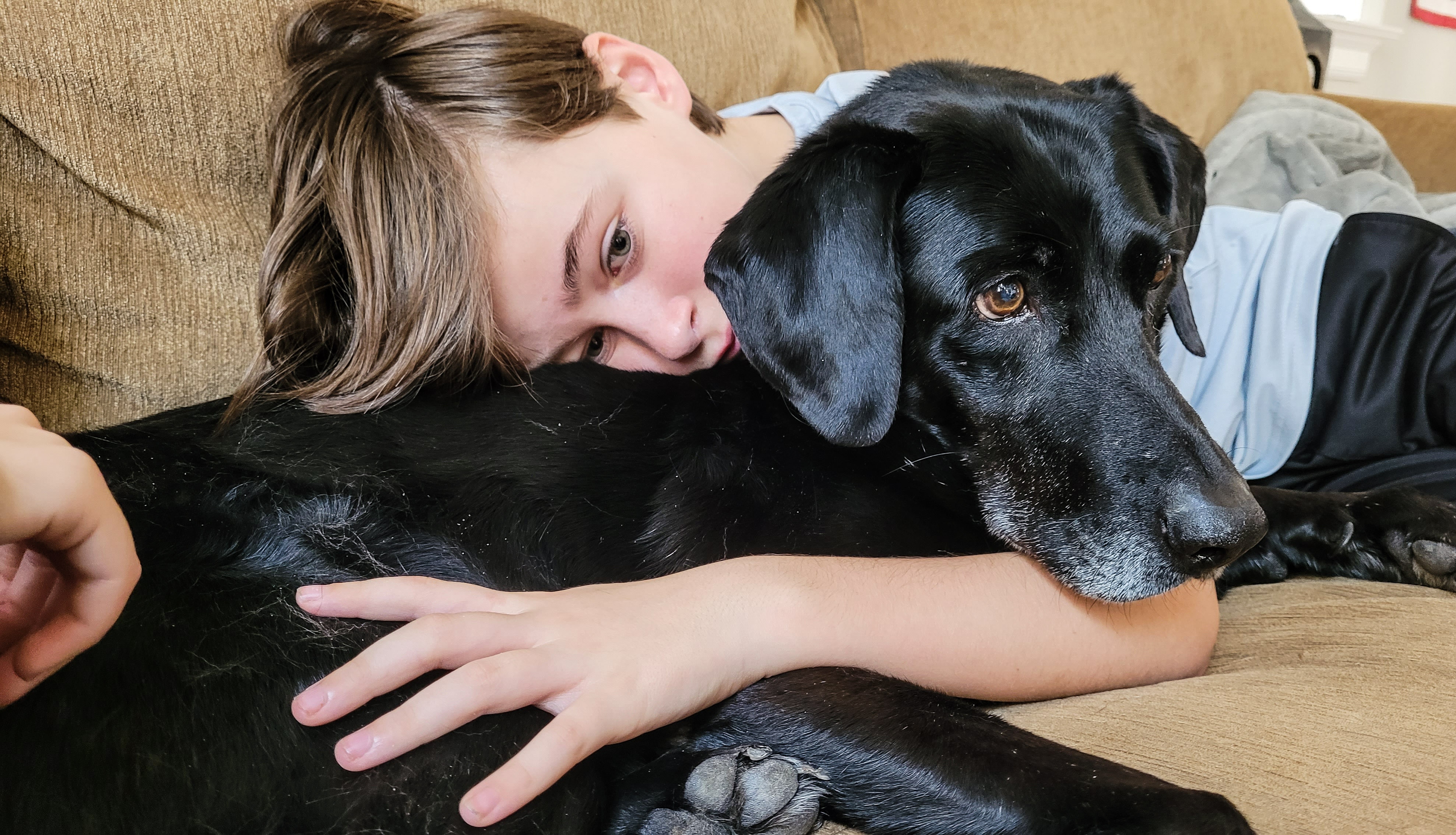 Hear a young boy describe the impact his service dog has