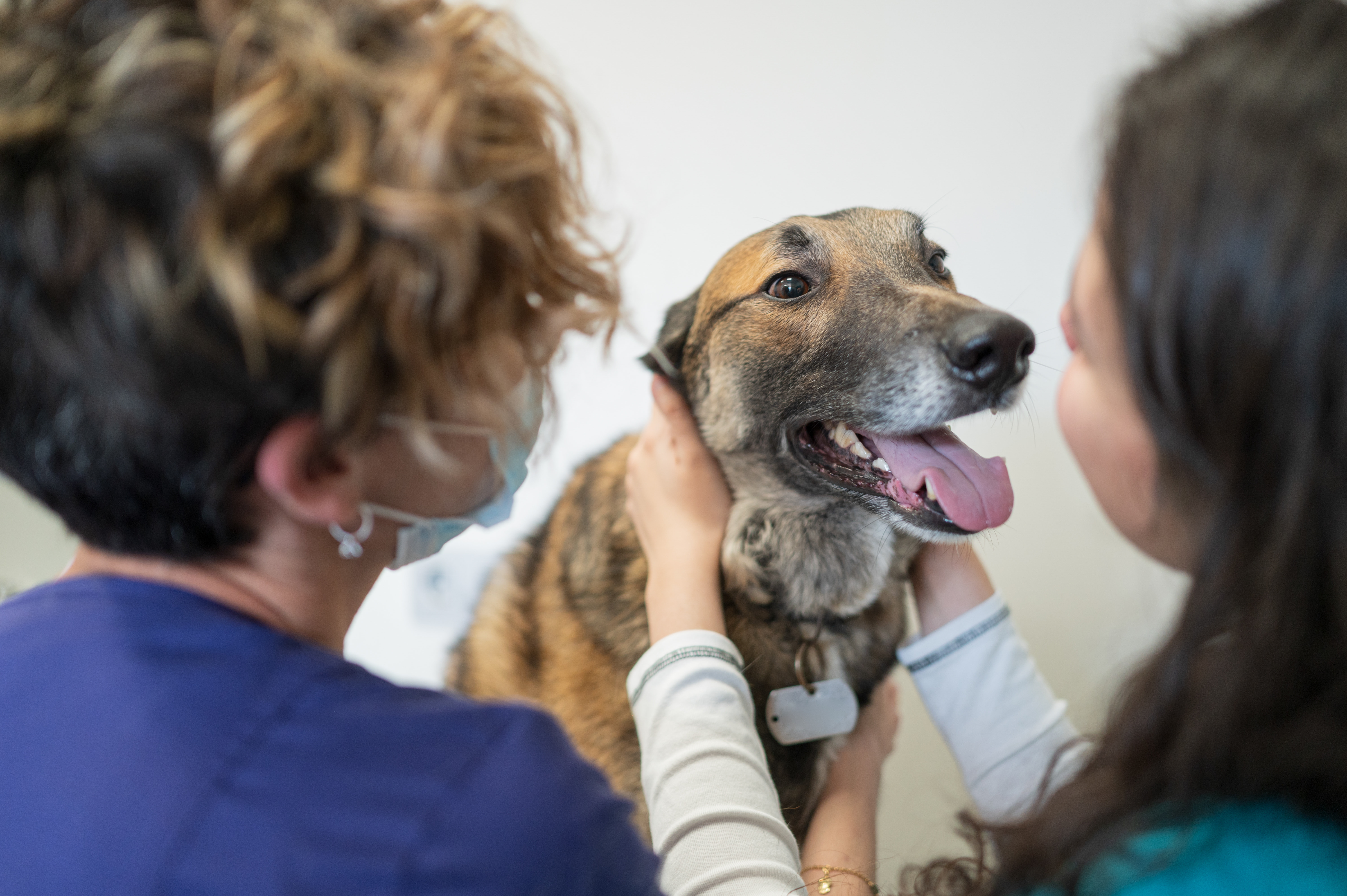 Life-changing experience from therapy visit