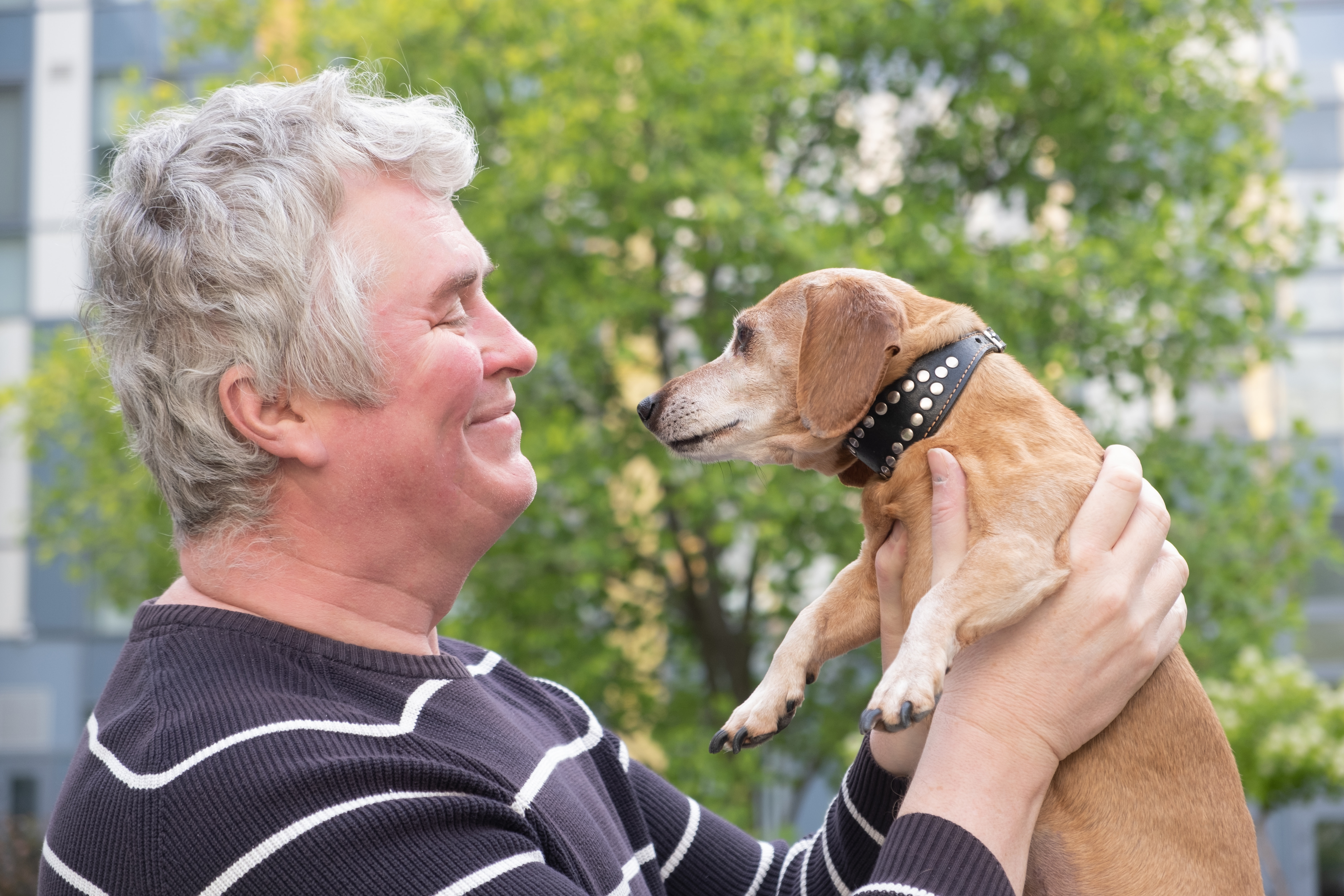 Socialization for puppies – essential