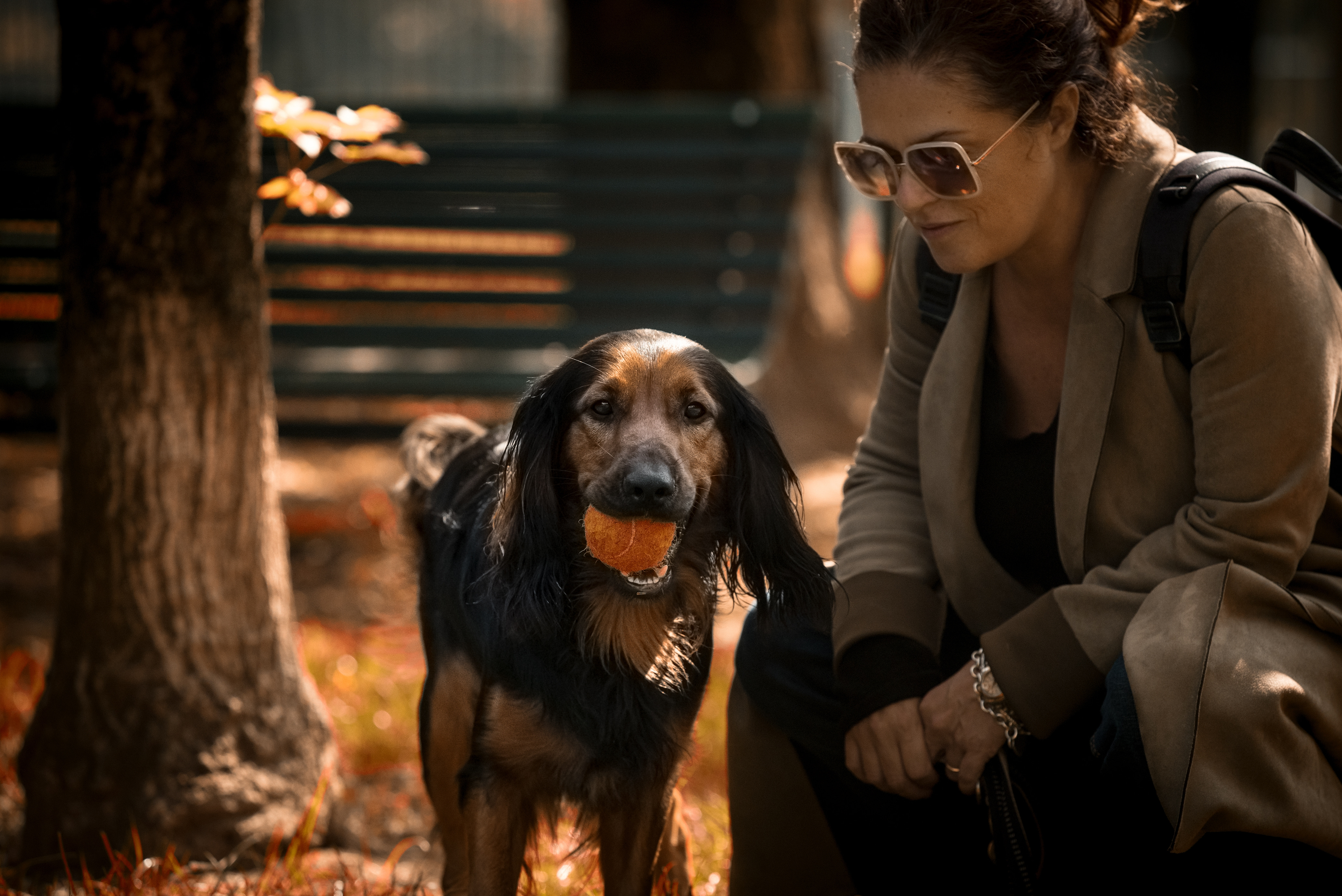 Another role for dogs – therapy at a funeral home