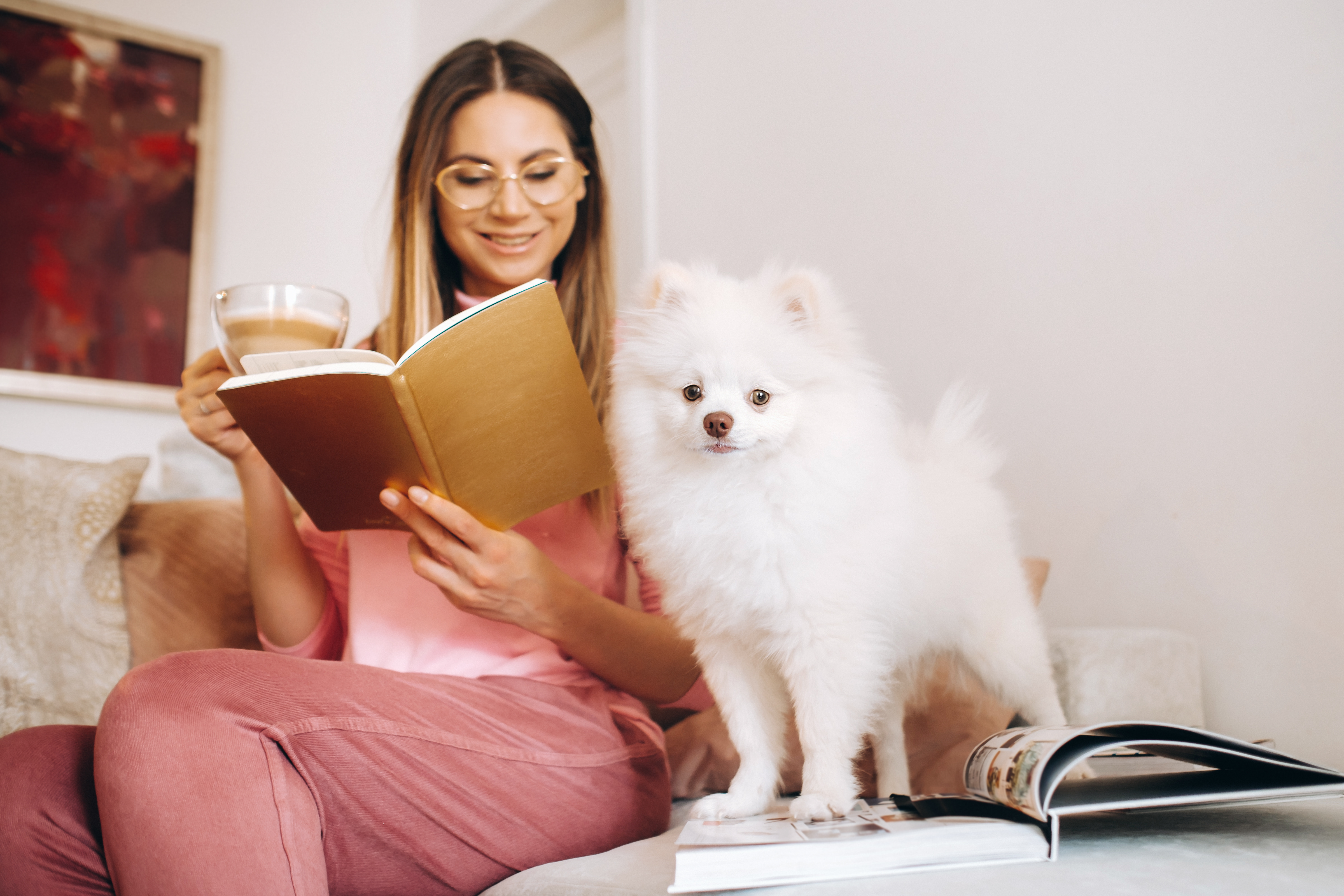 Story telling by the dog