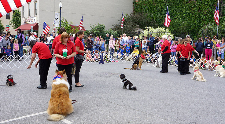 Our drill team exhibited twice during the Jim the Wonder Dog celebration in Marshall