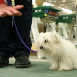 Charlie is choosing to stay in place -- a major achievement in training