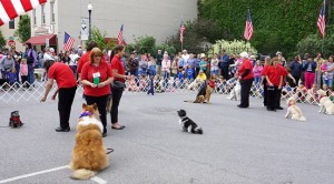 Photo by Mary Romesburg from performance in Marshall. Mo. in May 2014