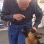 Pay attention to your dog to get the dog's attention