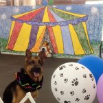Stage_set_canine_circus_thumbnail