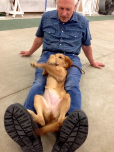 Part of socialization -- A daily exam for the puppy.