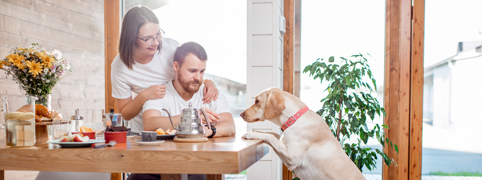 Man sits at the family breakfast table. Woman stands behind the man both looking at the family dog that has jumped to put front paws on the table.